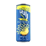 رانى عصير كانز 240مل  اناناس